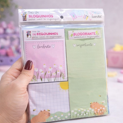 Kit Blocos de Anotação Capivara Kawaii (Trio de Bloquinhos)