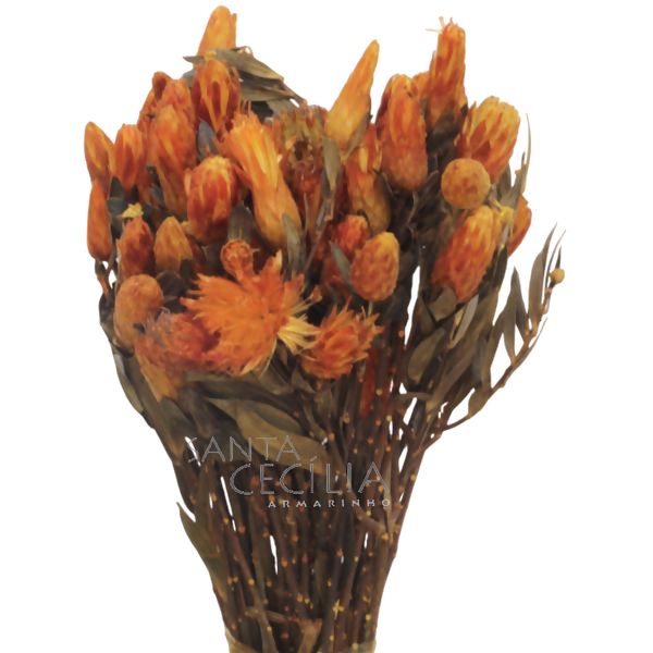 FLOR SECA MARAPUAMA