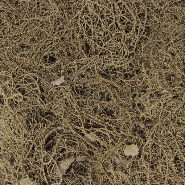 Musgo Barba da Serra 30g