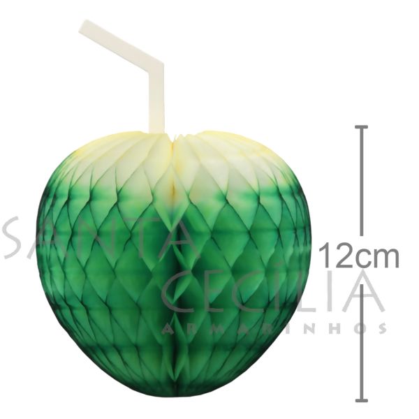 Enfeite de Papel Coco da Bahia 12cm - Ref. 222