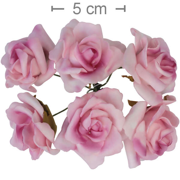 Rosa EVA M Ref. 0002 - 6 unid - Pink