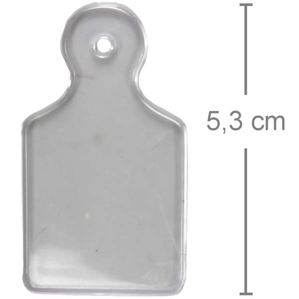 Tábua de Carne Plástica Transparente 5,3cm - 10 unid - Lembrancinha Chá de Cozinha