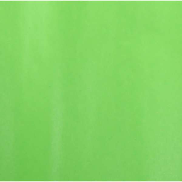 Papel de Seda 100 folhas - Verde Claro