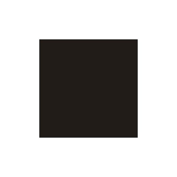 Sintex Cor 40g - 31 Preto