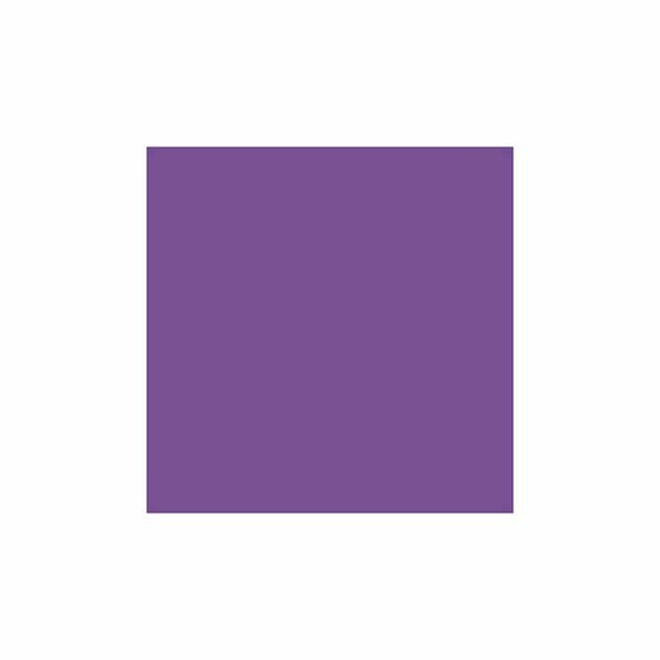 Sintex Cor 40g - 25 Violeta