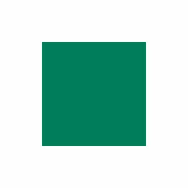 Sintex Cor 40g - 20 Verde