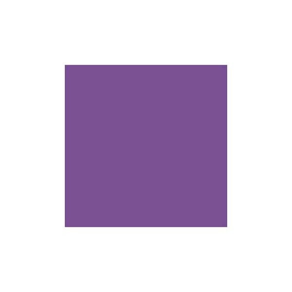 Tingecor 40g. 25 Violeta