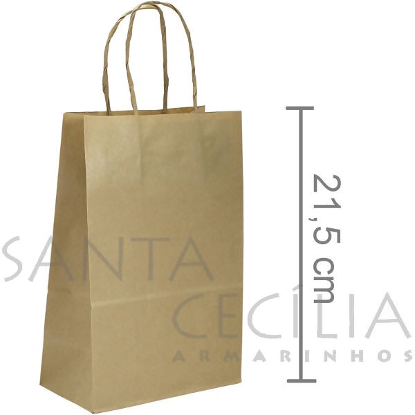 Sacola de Papel Pequena 21,5 x 17 x 8 cm - 10 unid. - Kraft