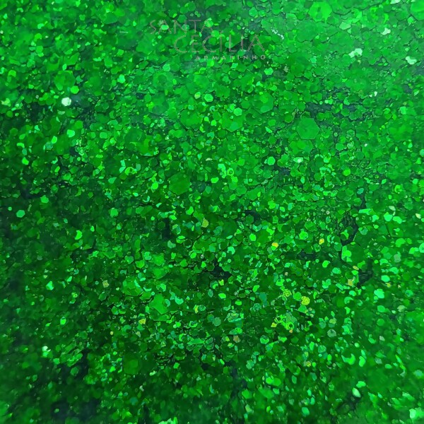 Glitter Holográfico 500 gramas