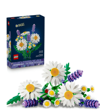 Coleção Botânica - Margaridas