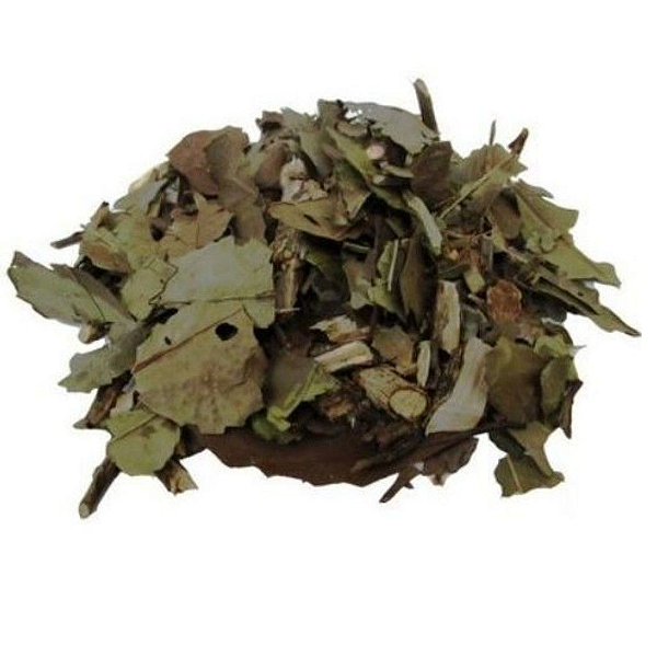 CHA VERDE BANCHA KG