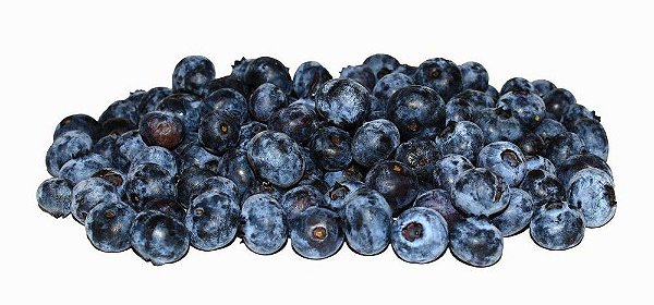BLUEBERRIES KG