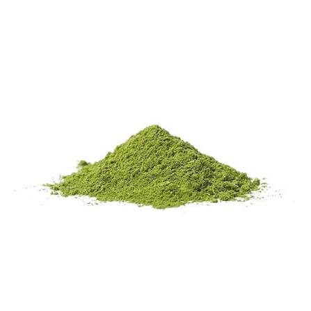 Moringa em Pó Natural Kg