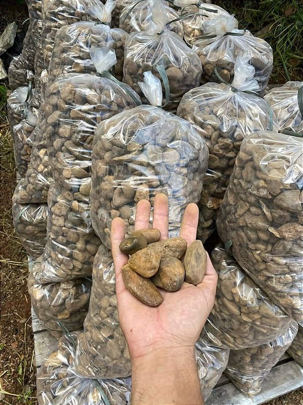 Seixo de Rio Marrom N2