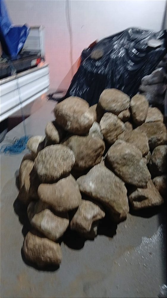 Pedra para Lago Ornamental