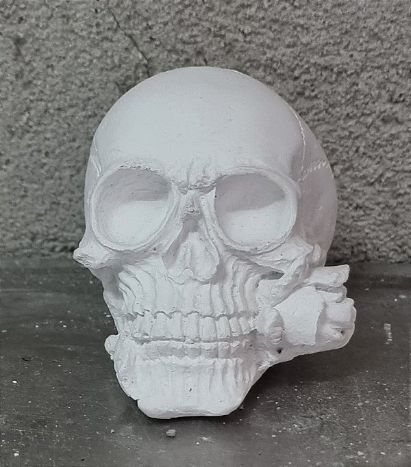 Cranio com Rosa 9x9cm Gesso Cru