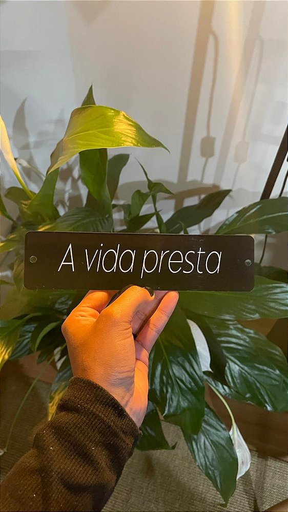placa A VIDA PRESTA