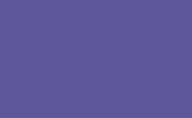 Fundo Papel Purple 154 - 2,72 x 11m - Made USA