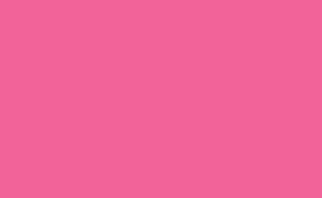 Fundo Papel Hot Pink 163 - 2,72 x 11m - Made USA