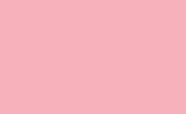 Fundo Papel Pastel Pink 117 - 2,72 x 11m - Made USA
