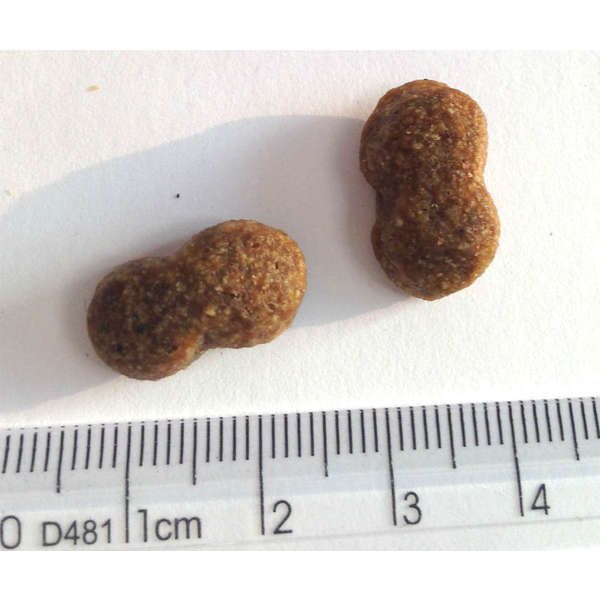 Ração Premier Pet Formula Cães Filhotes Raças Grandes e Gigantes Frango