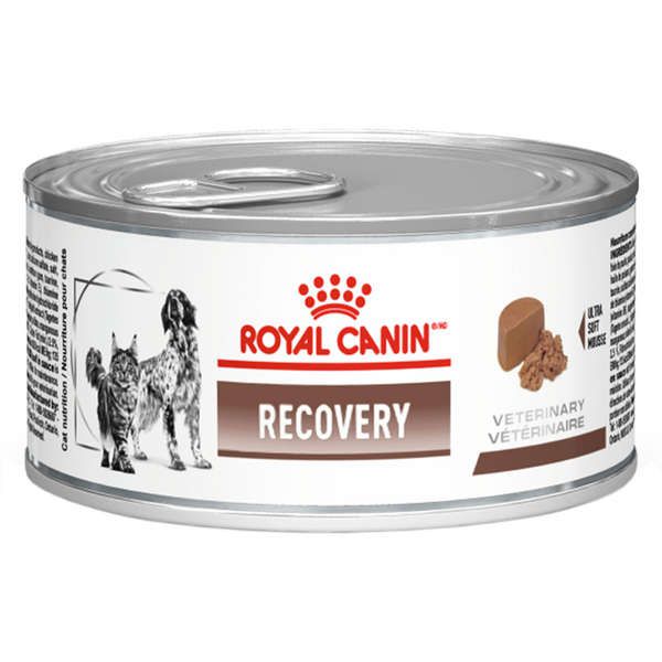 Ração Royal Canin Lata Canine e Feline Veterinary Diet Recovery Wet 195 g