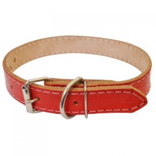 Coleira Couro N° 10