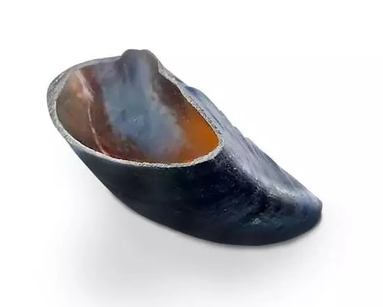 Petisco Casco Bovino 1 un.