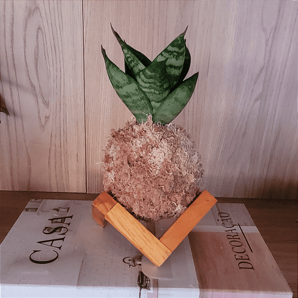 Espadinha Sao Jorge