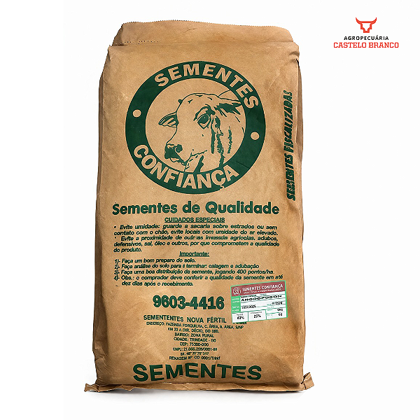 Semente Andropogon 15VBC