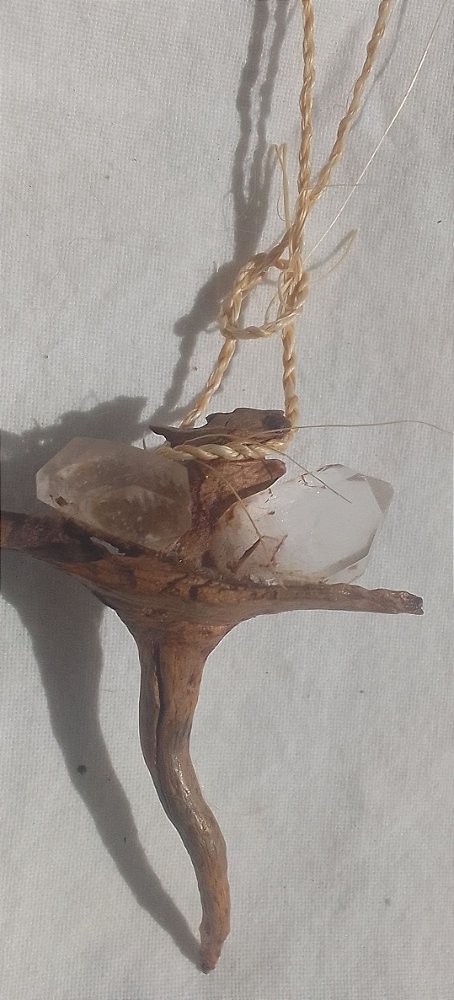Cajado da guardiã da caatinga