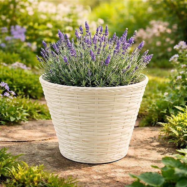 Cachepô Cesta Vime Plástico Colibri 3,98 Litros 23 cm Marfim