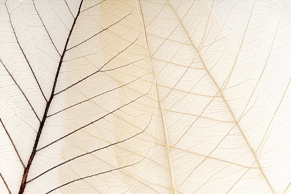 Quadro Decorativo Abstrato 0289