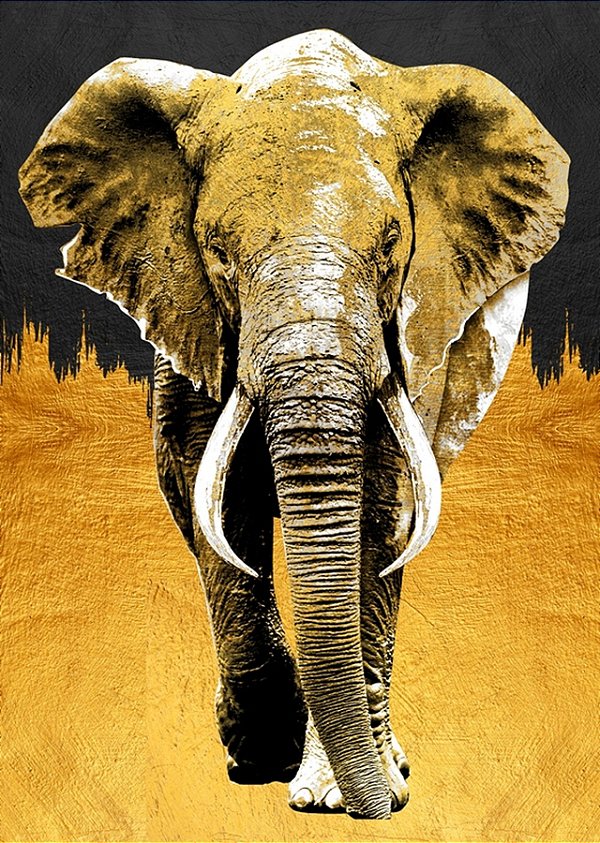 Quadro Decorativo Artístico 0483