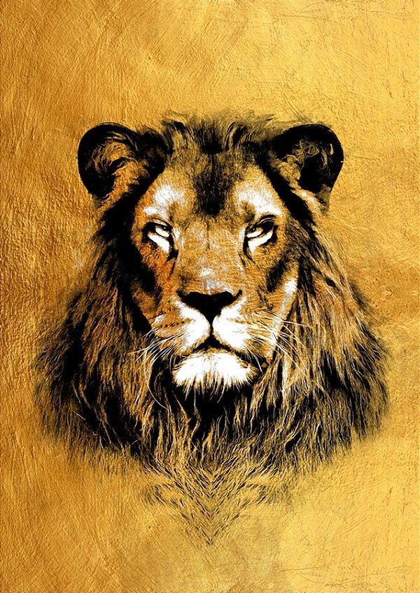 Quadro Decorativo Artístico 0486