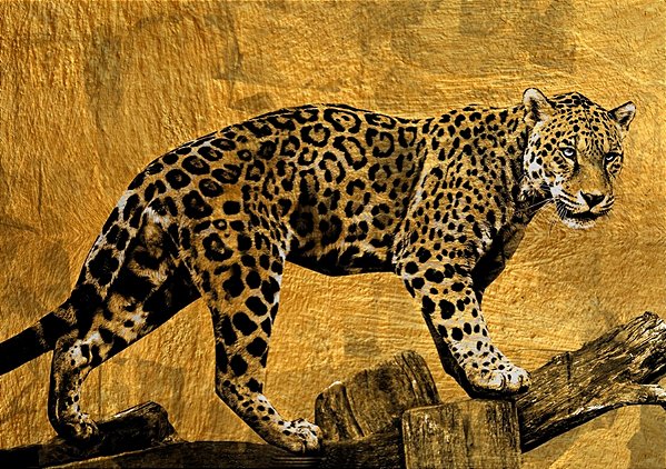 Quadro Decorativo Artístico 0493
