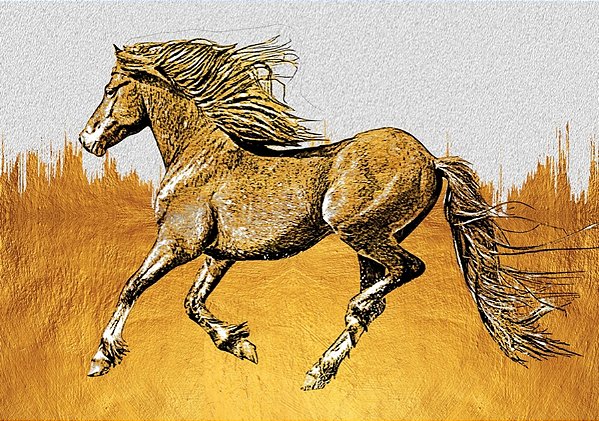 Quadro Decorativo Artístico 0497