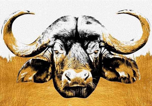 Quadro Decorativo Artístico 0499