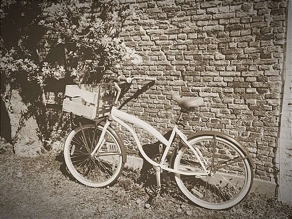 Quadro Decorativo Bicicletas 0849