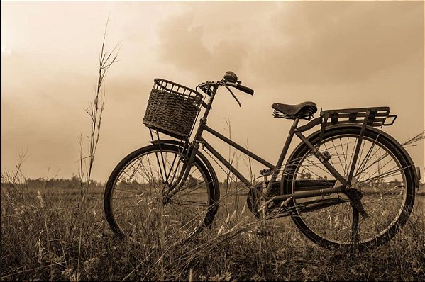 Quadro Decorativo Bicicletas 0851