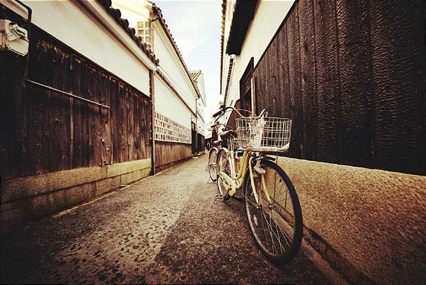 Quadro Decorativo Bicicletas 0853