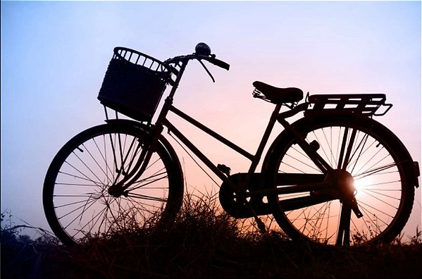 Quadro Decorativo Bicicletas 0860