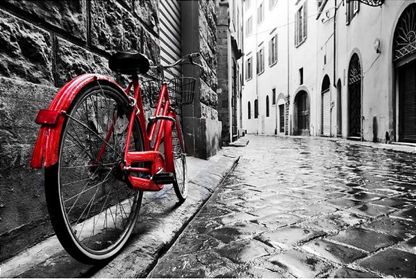 Quadro Decorativo Bicicletas 0861