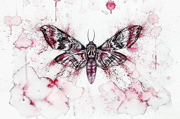 Quadro Decorativo Borboleta - Mariposa 0870