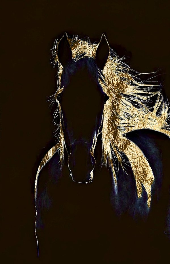 Quadro Decorativo Cavalos 1177