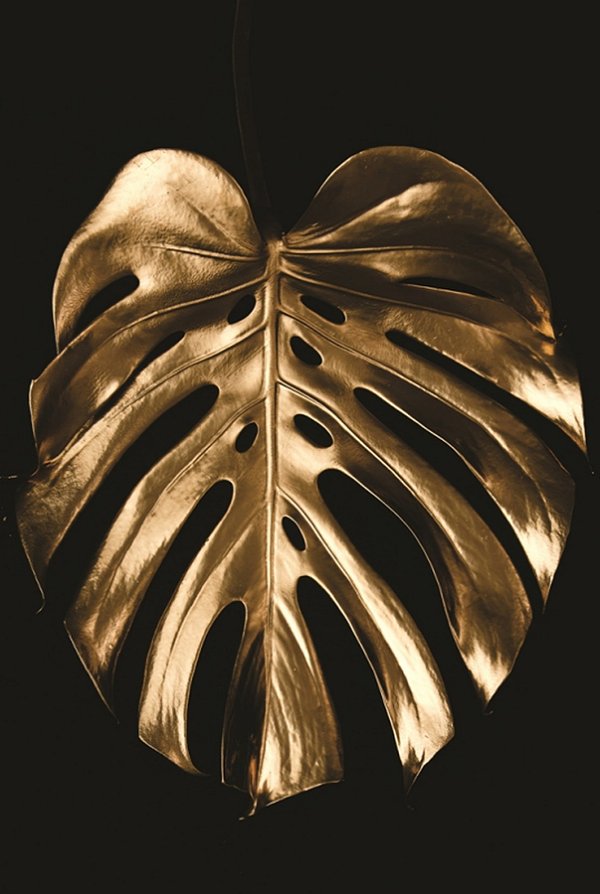 Quadro Decorativo Folhagens de Plantas 1484