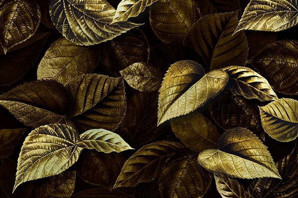 Quadro Decorativo Folhagens de Plantas 1496