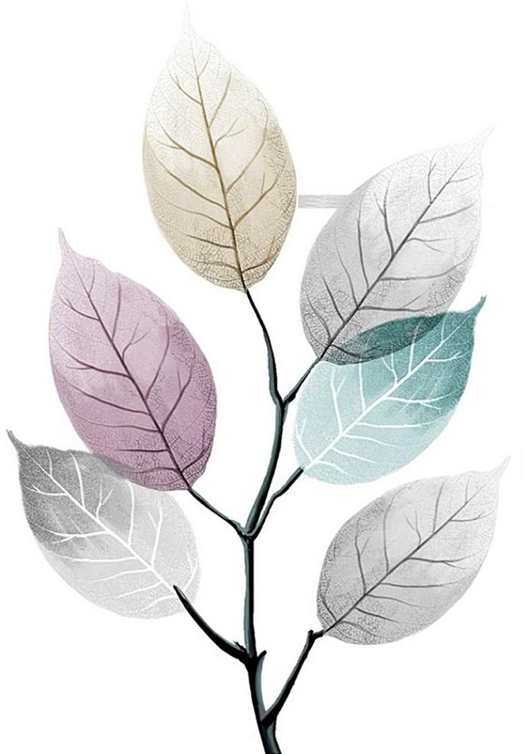 Quadro Decorativo Folhagens de Plantas 1593