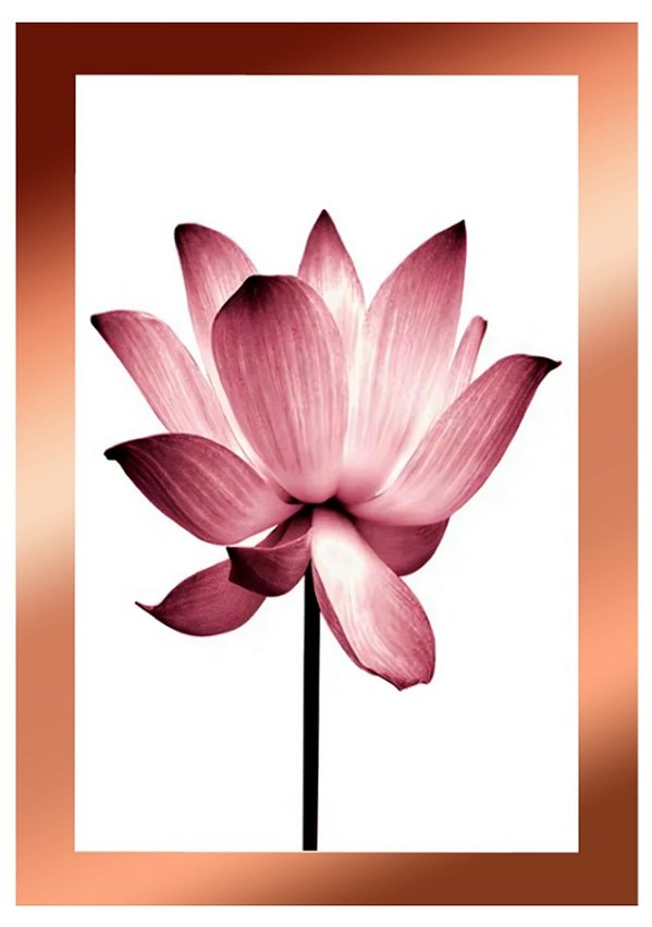 Quadro Decorativo Flores 1760