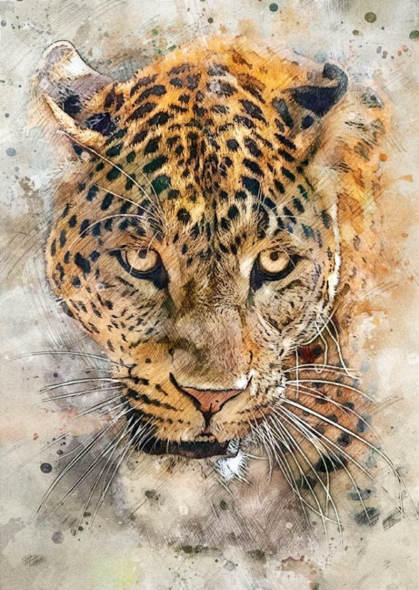 Quadro Decorativo Leopardos 2271